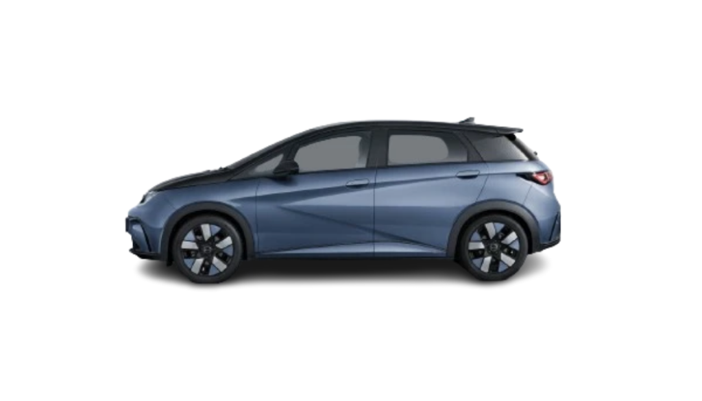dolphin byd